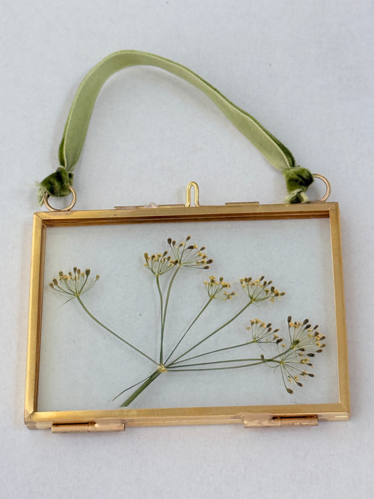 Pressed Floral Ornament - Dill
