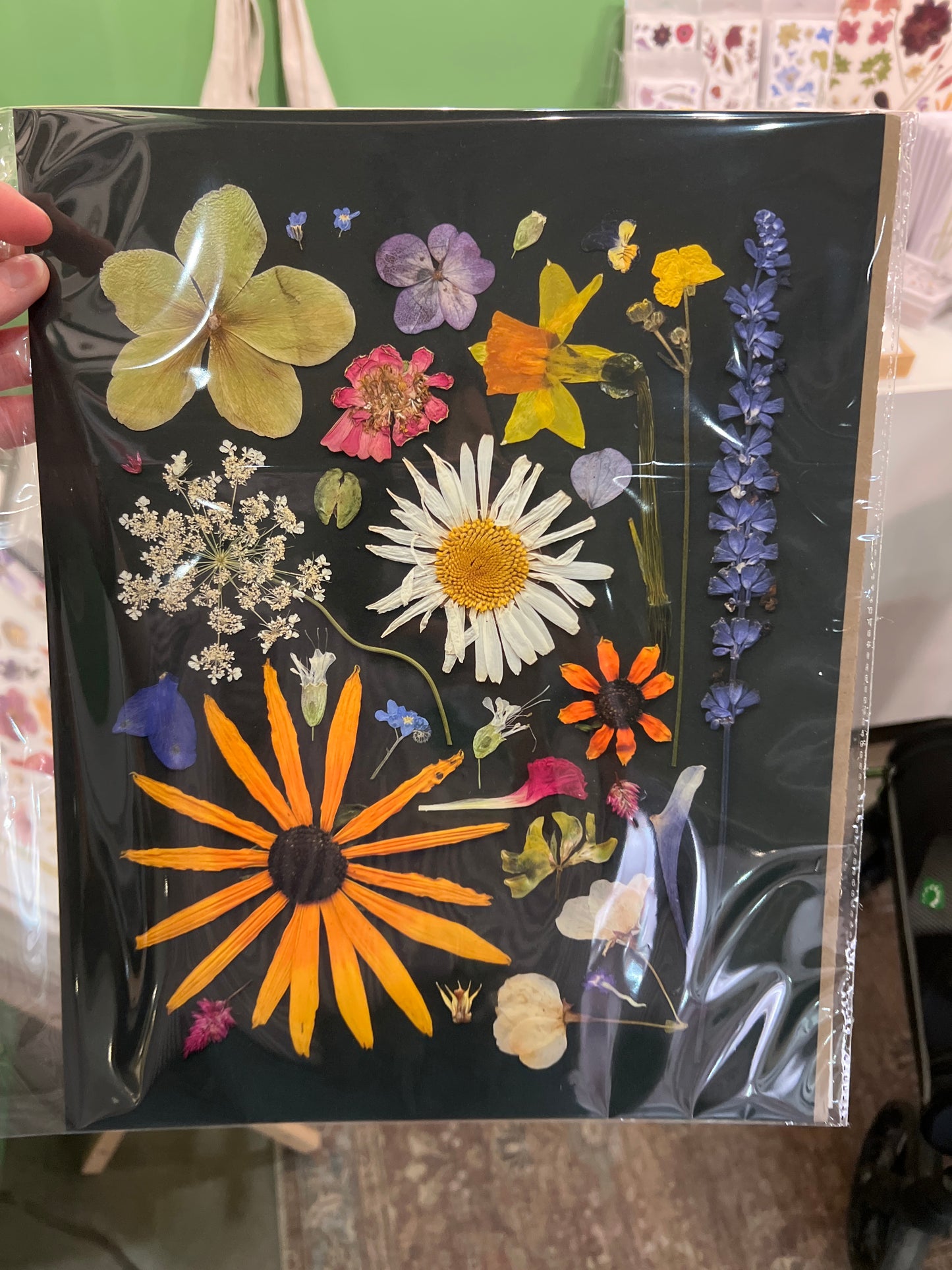 Fine art print - pop