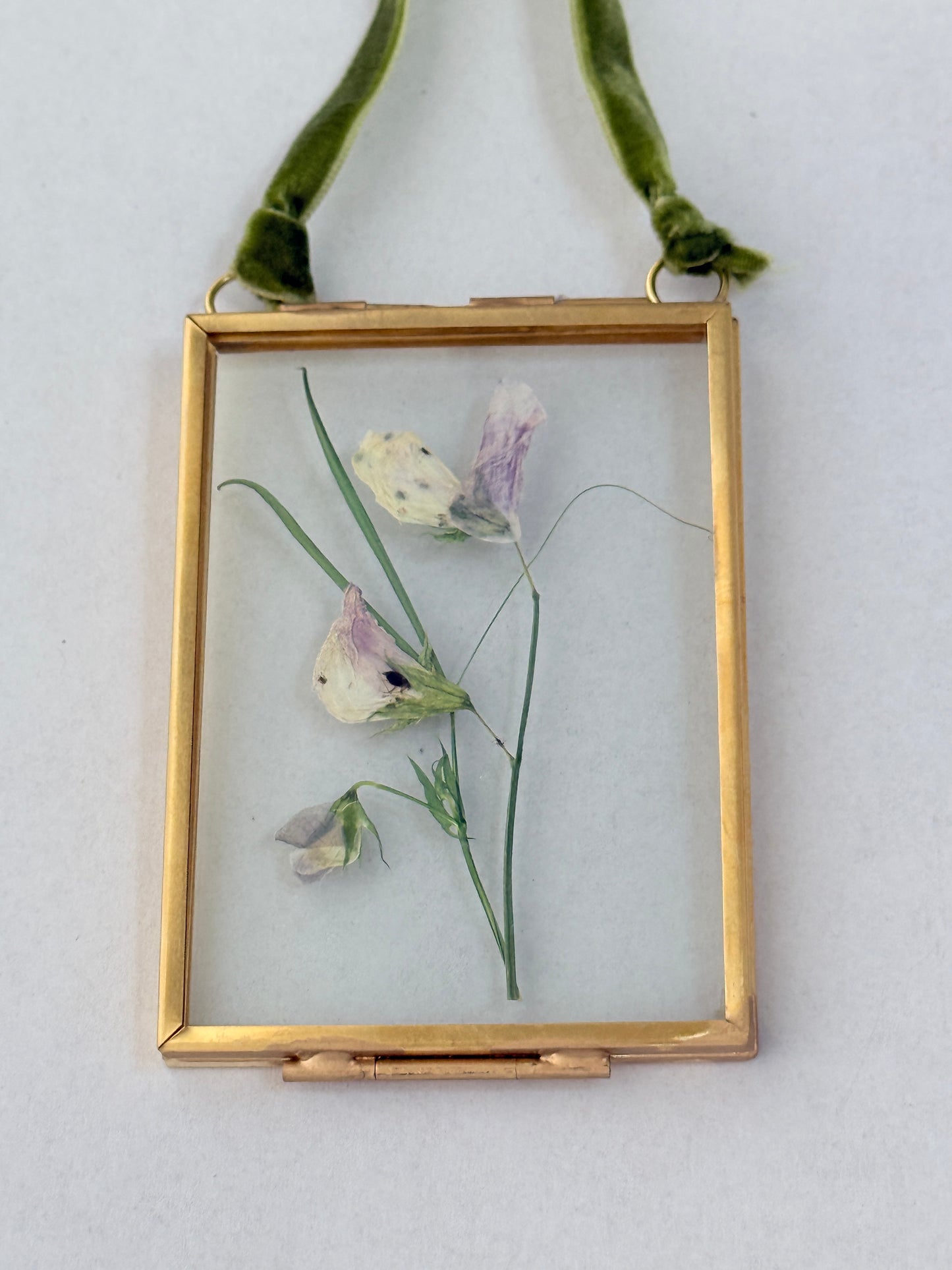 Pressed Floral Ornament - Sweet Pea