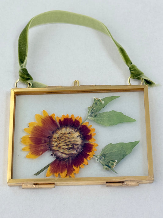 Pressed Floral Ornament - Rudbeckia