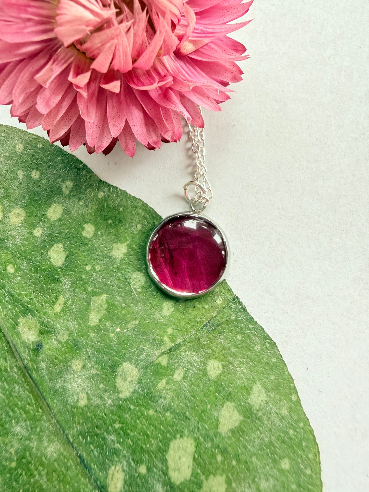 Pressed Floral Necklace - Red Rose and Sterling Silver Plated Chain