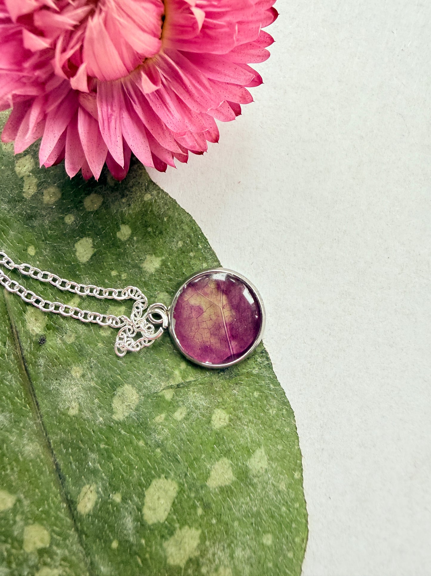 Pressed Floral Necklace - Rose and Sterling Silver Plated Chain