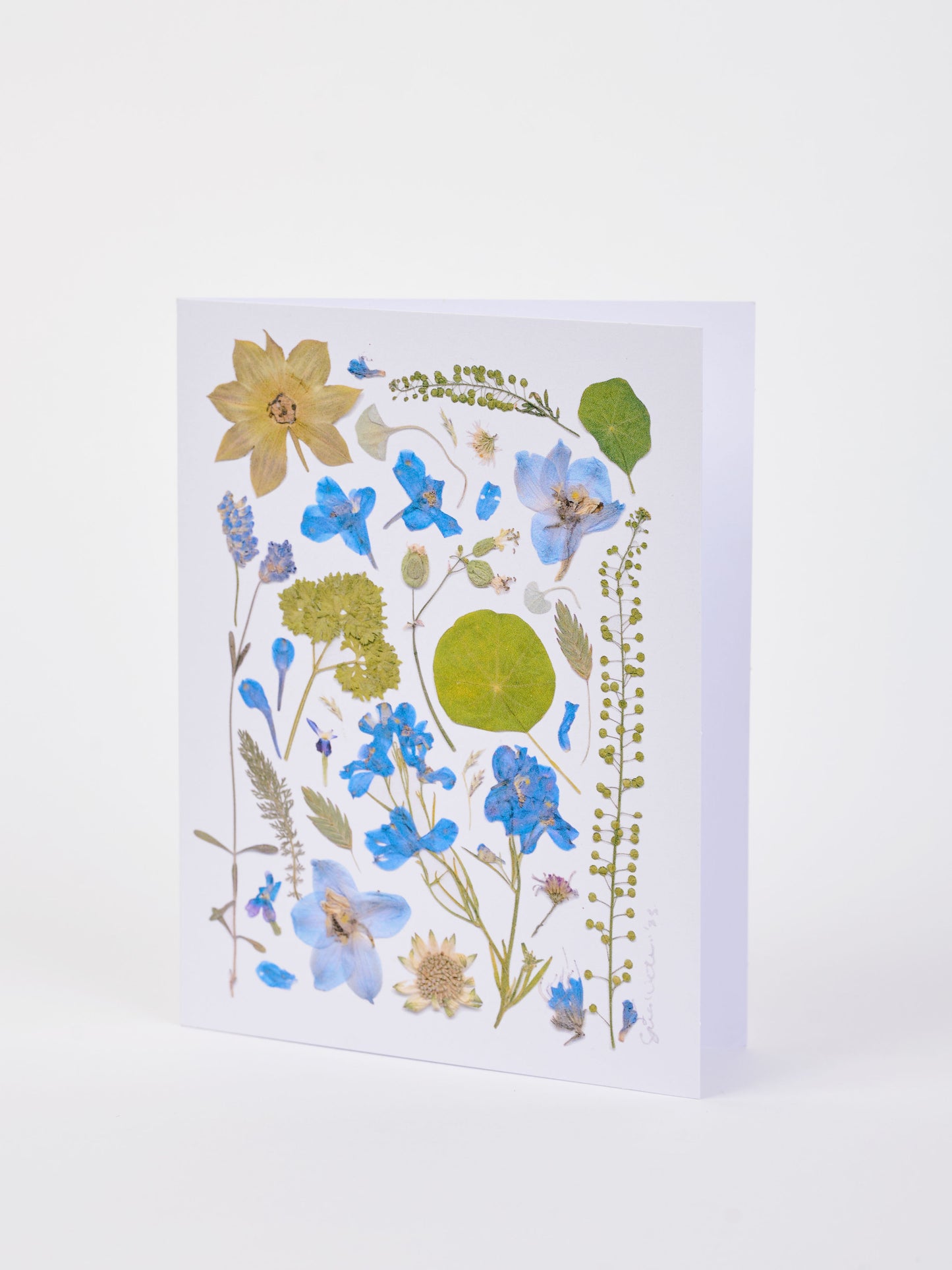 Note Cards - Box of 8