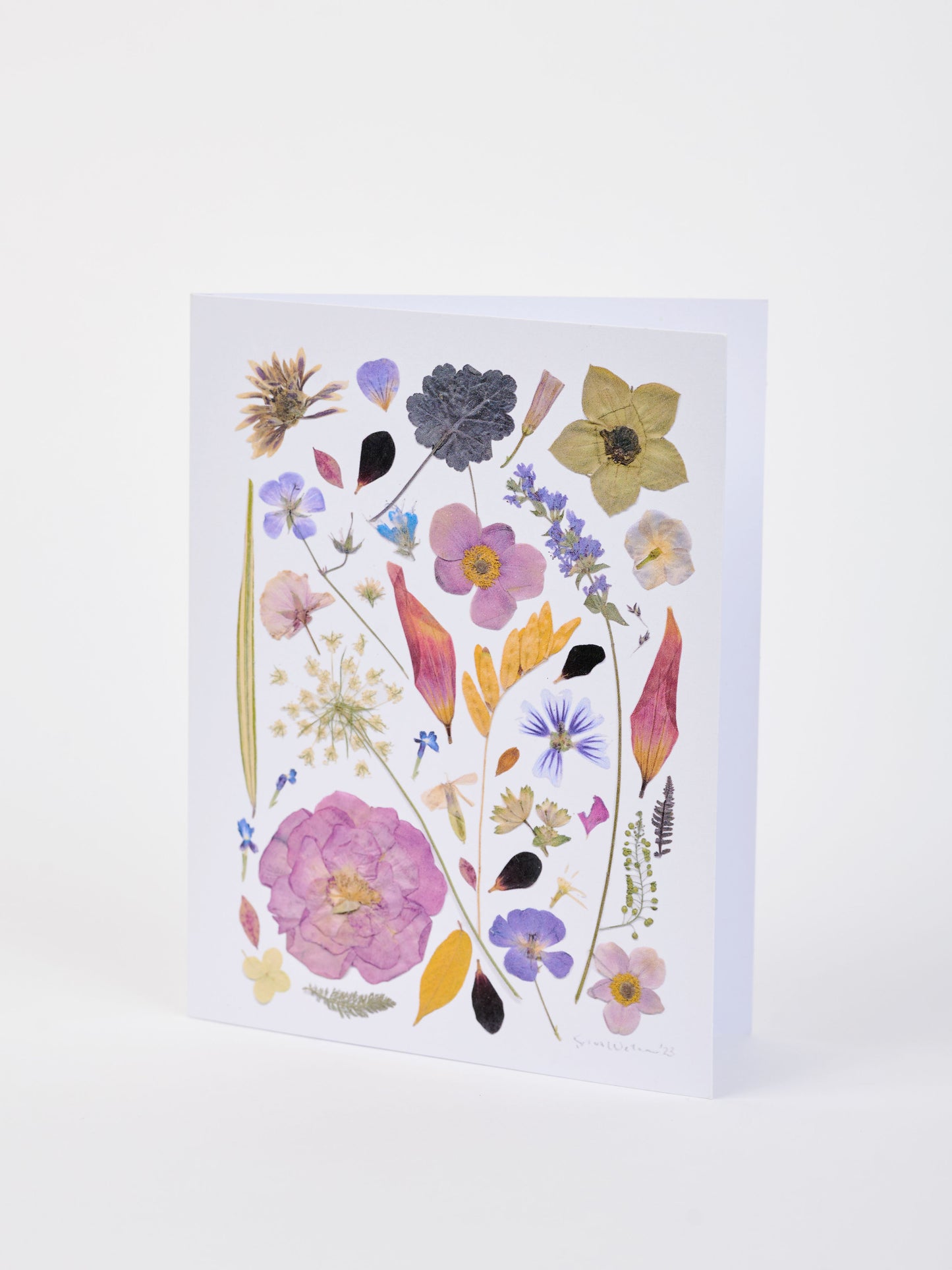 Note Cards - Box of 8