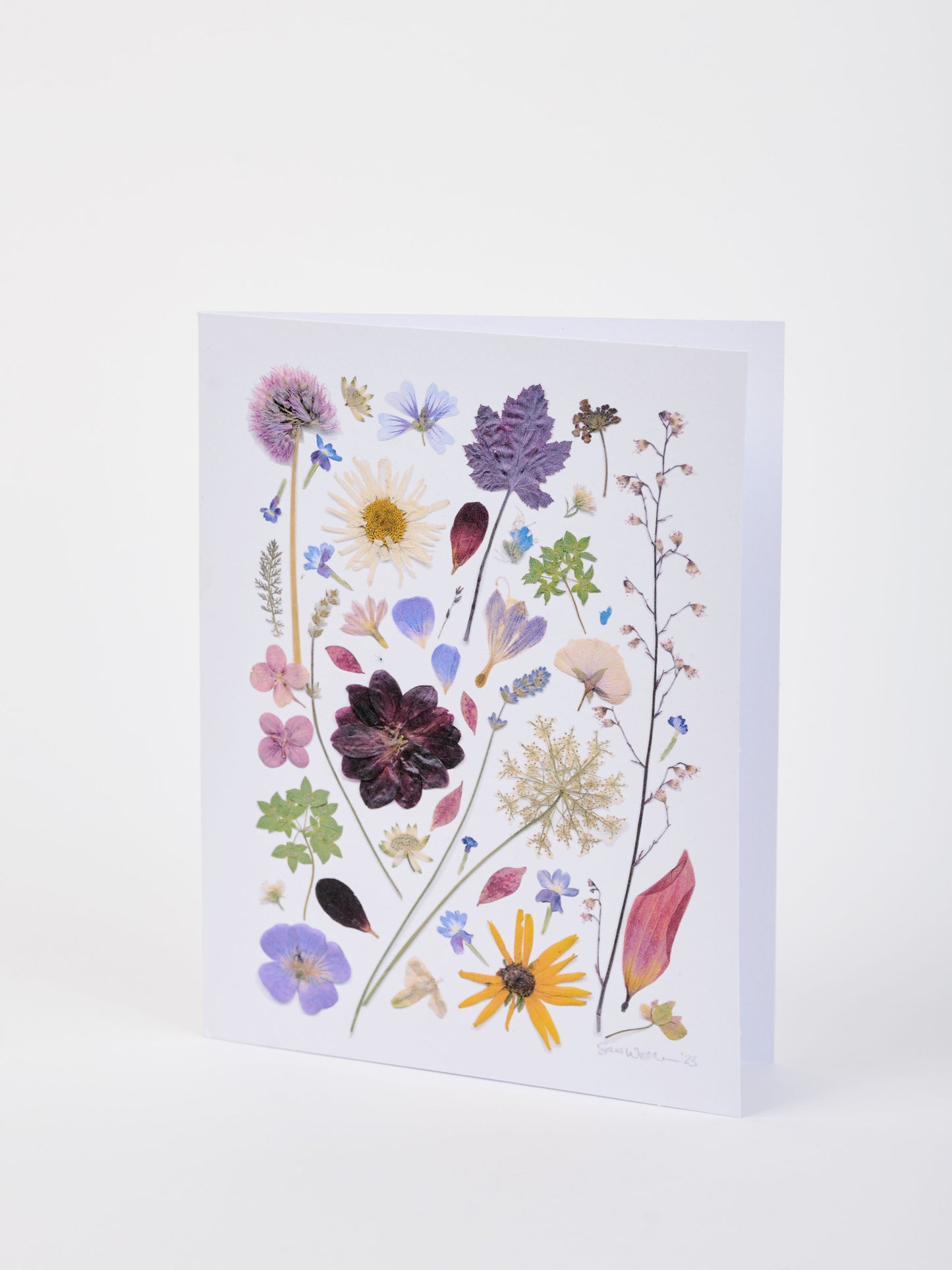 Note Cards - Box of 8