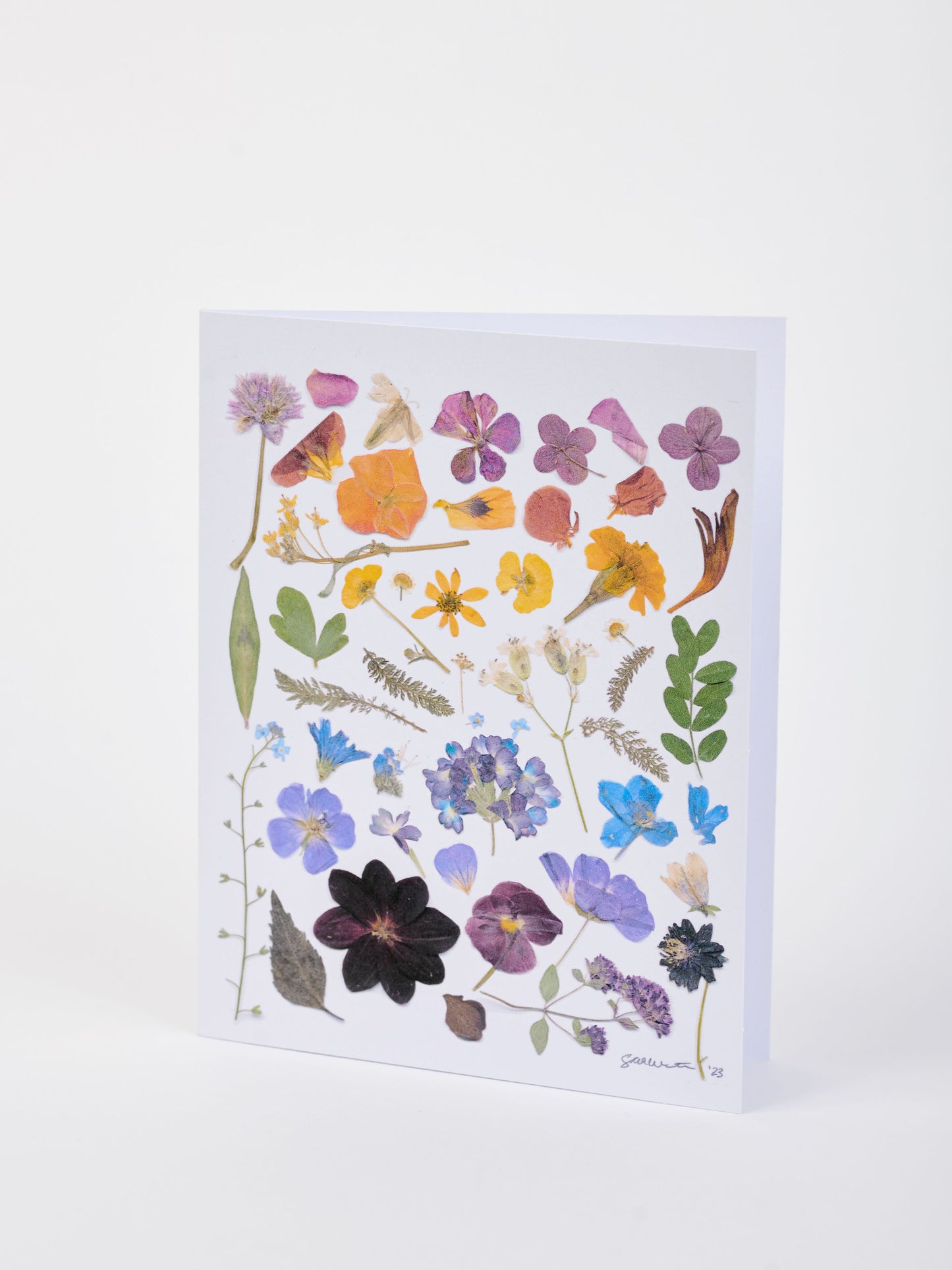 Note Cards - Box of 8