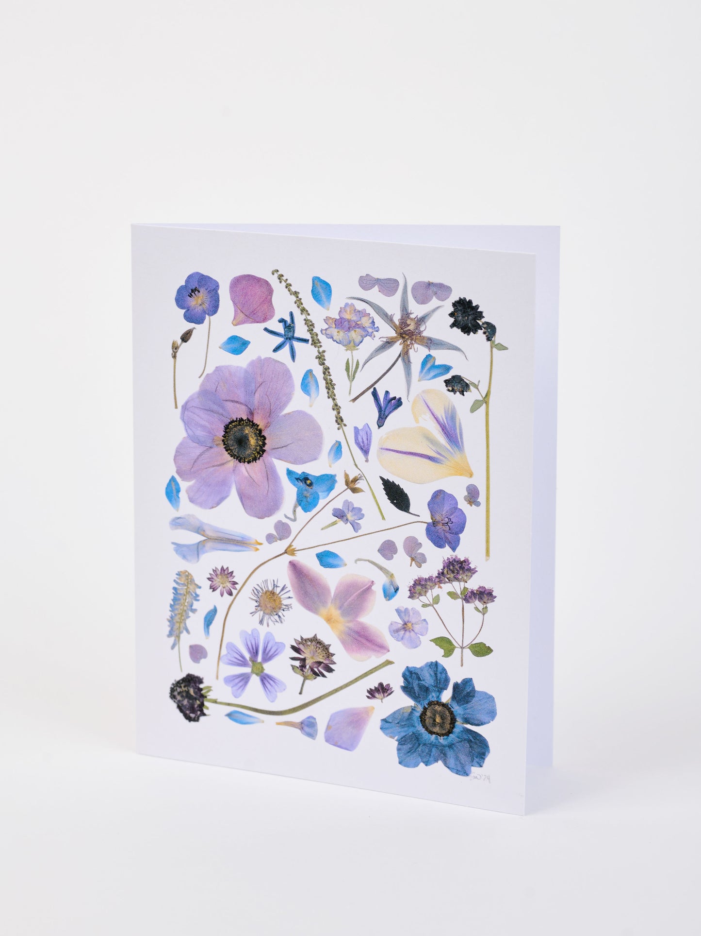Note Cards - Box of 8