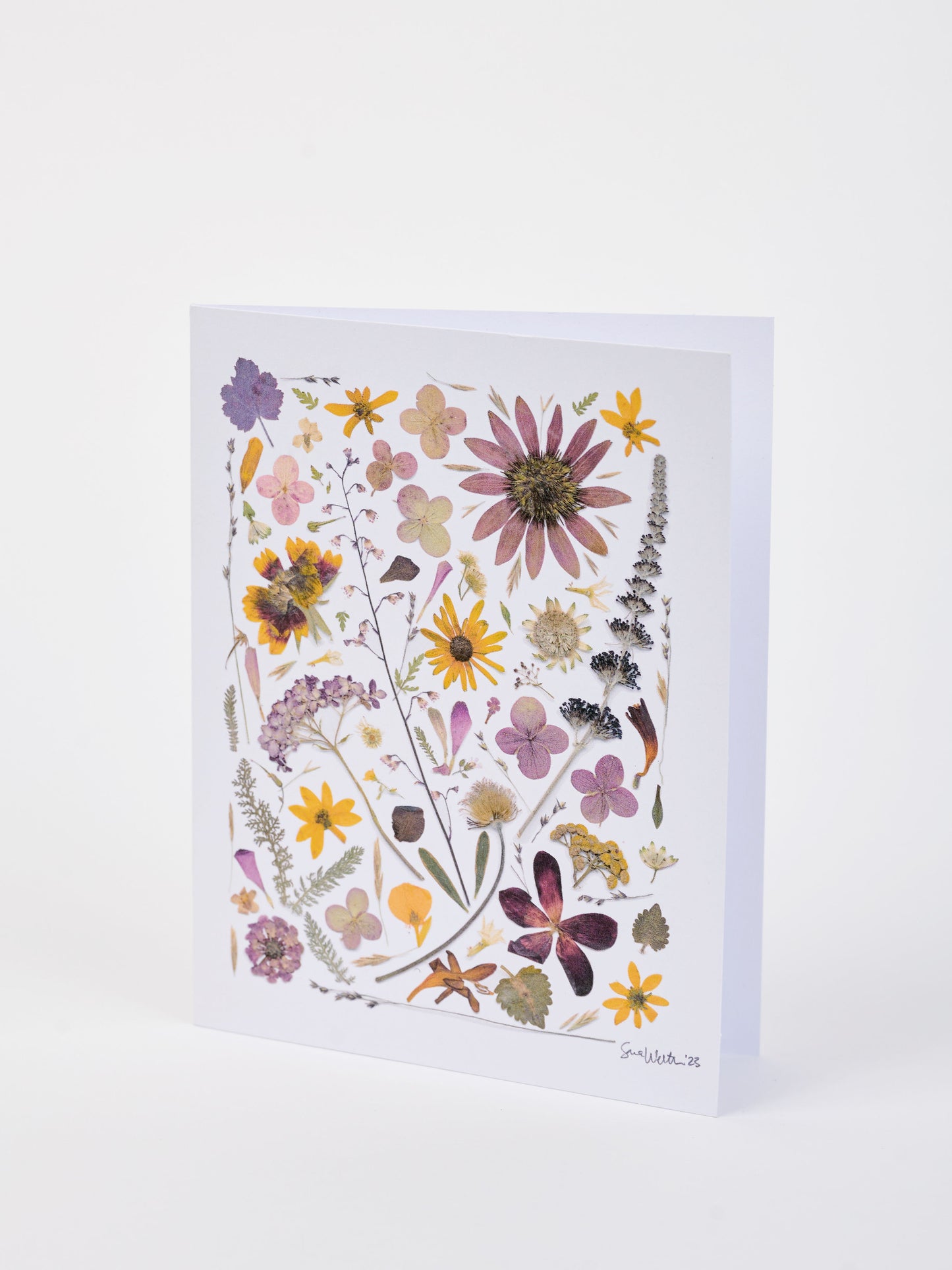 Note Cards - Box of 8