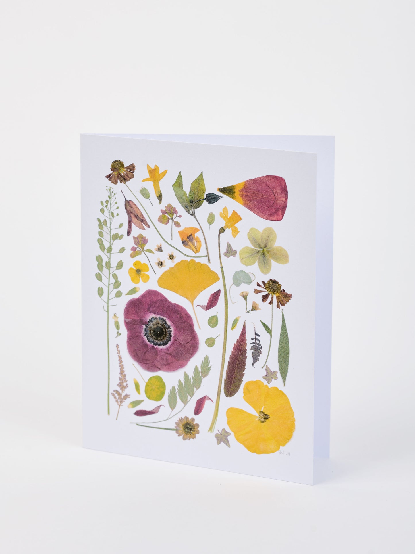 Note Cards - Box of 8