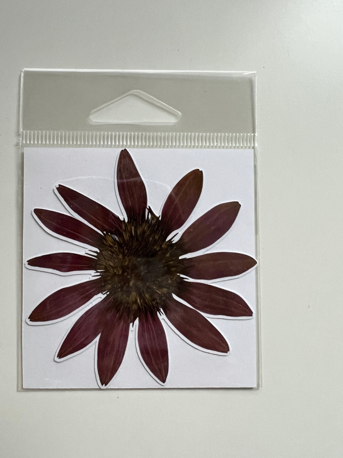 3” stickers, Coneflower