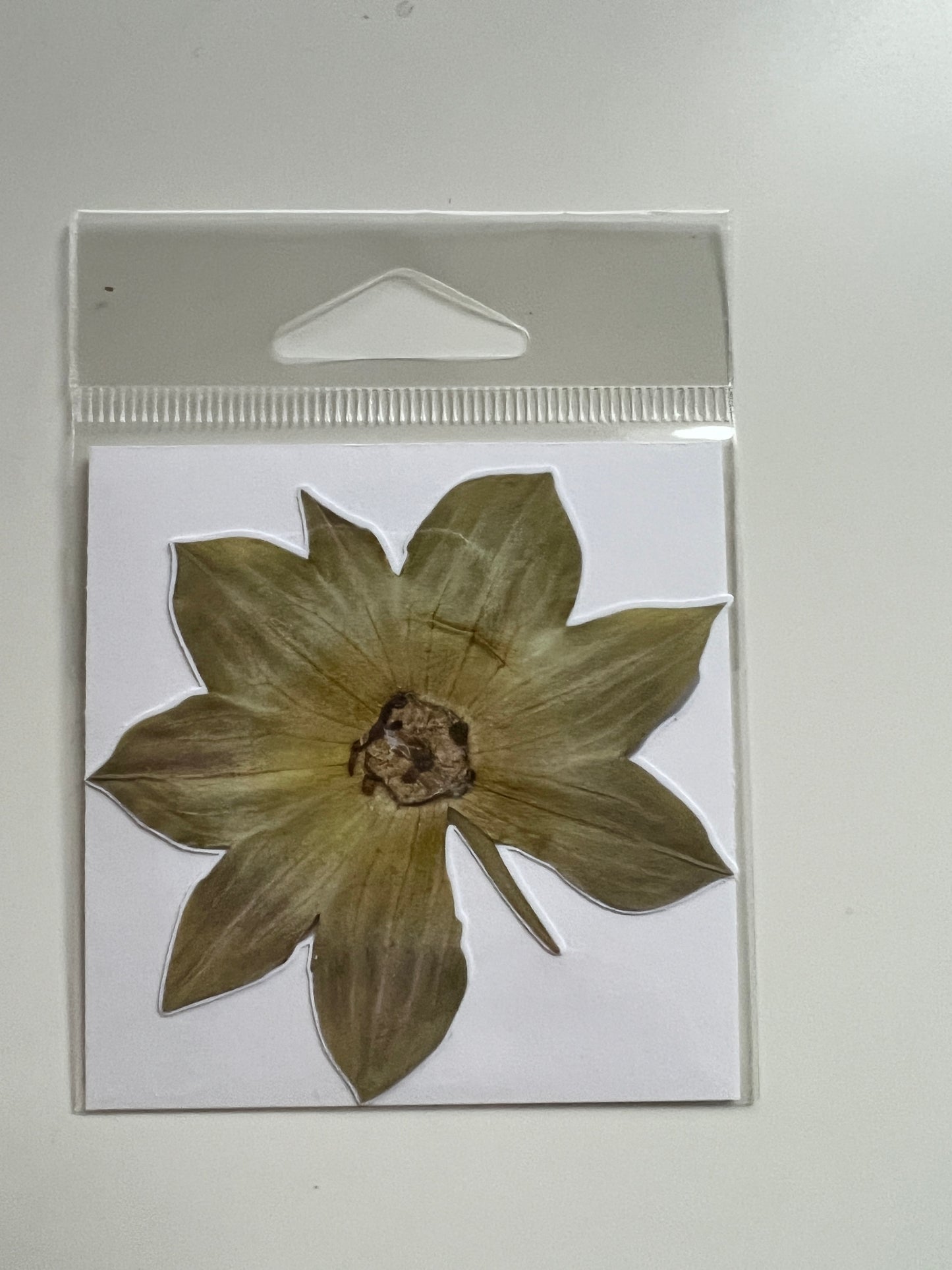 3” stickers, Green Stem