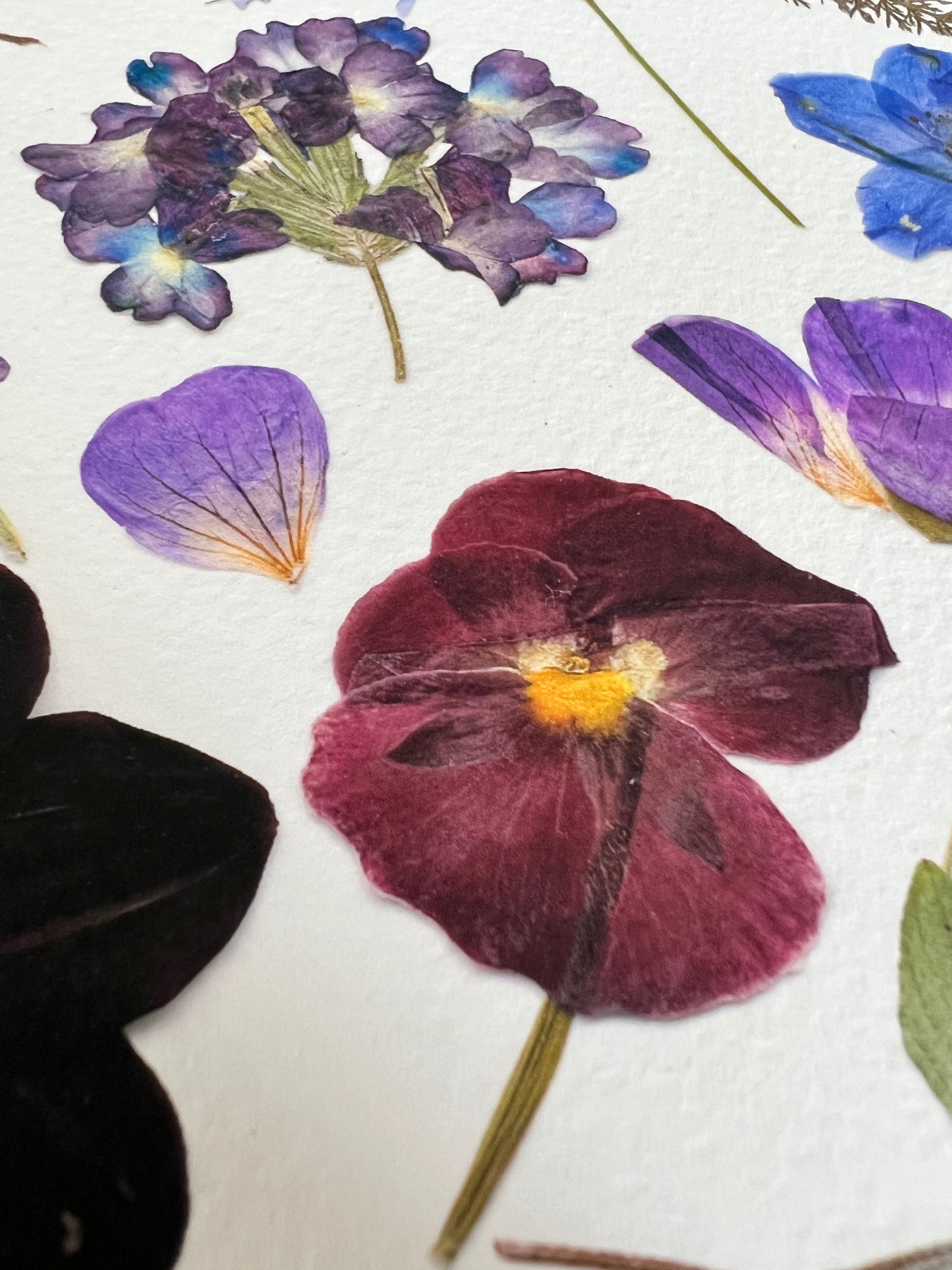 Fine Art print - July