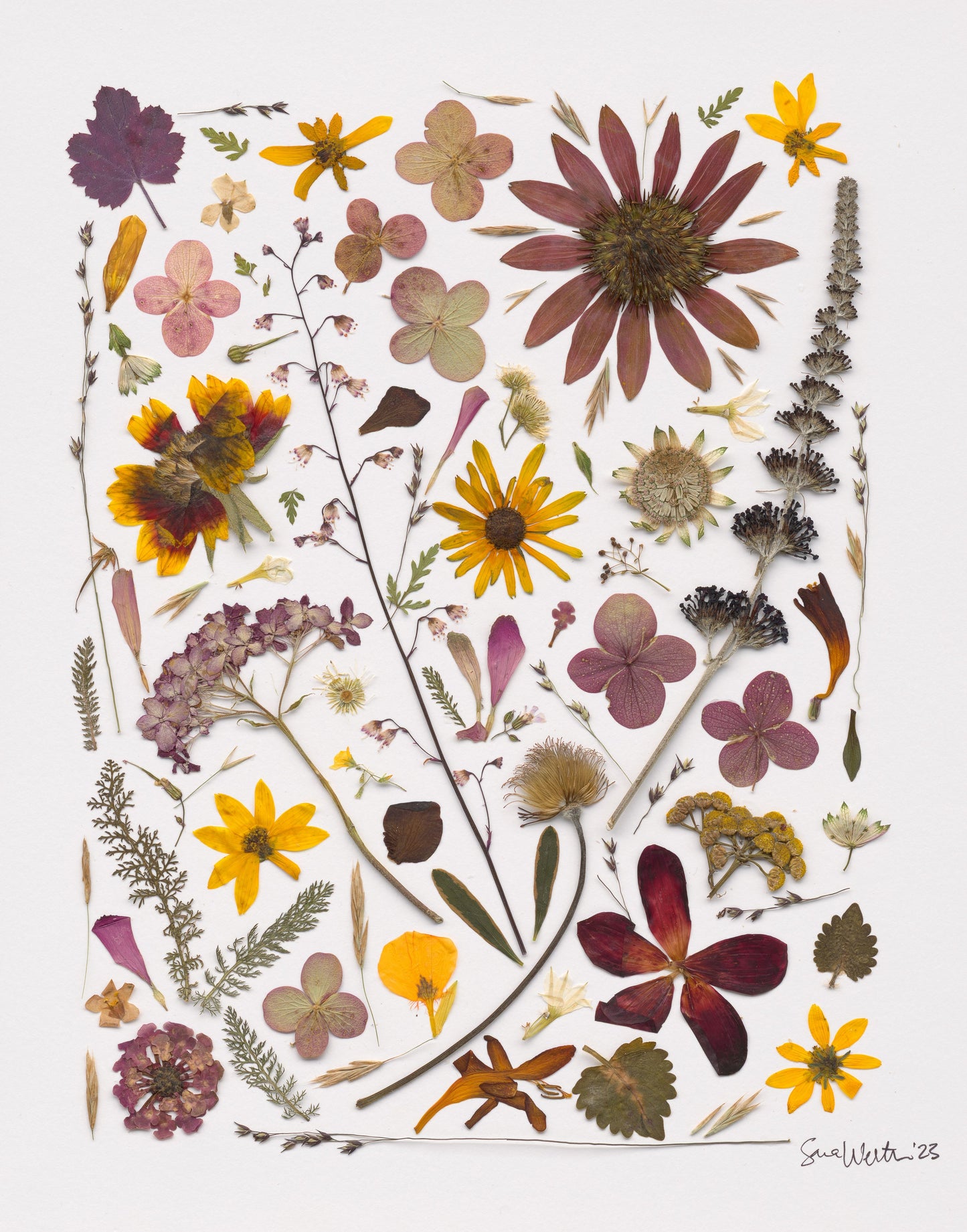 Fine Art Print - Autumn