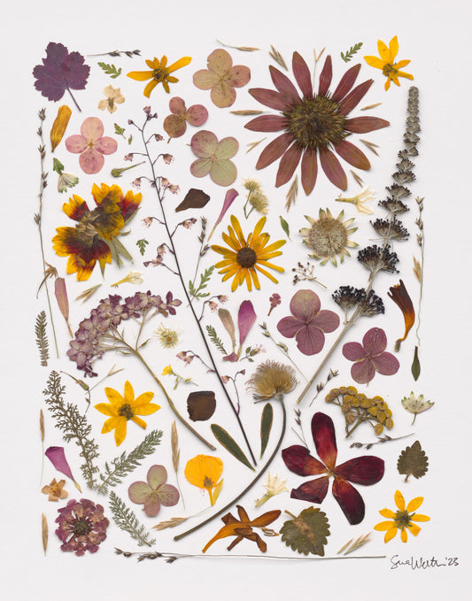 Fine Art Print - Autumn