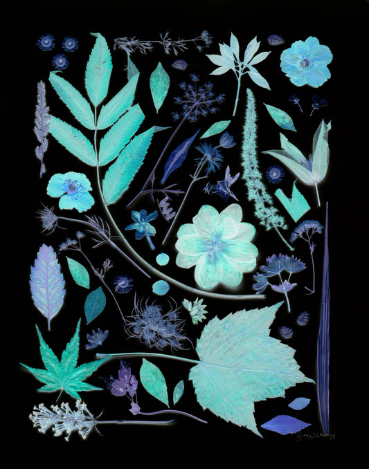 Fine Art Print - Blue Holiday