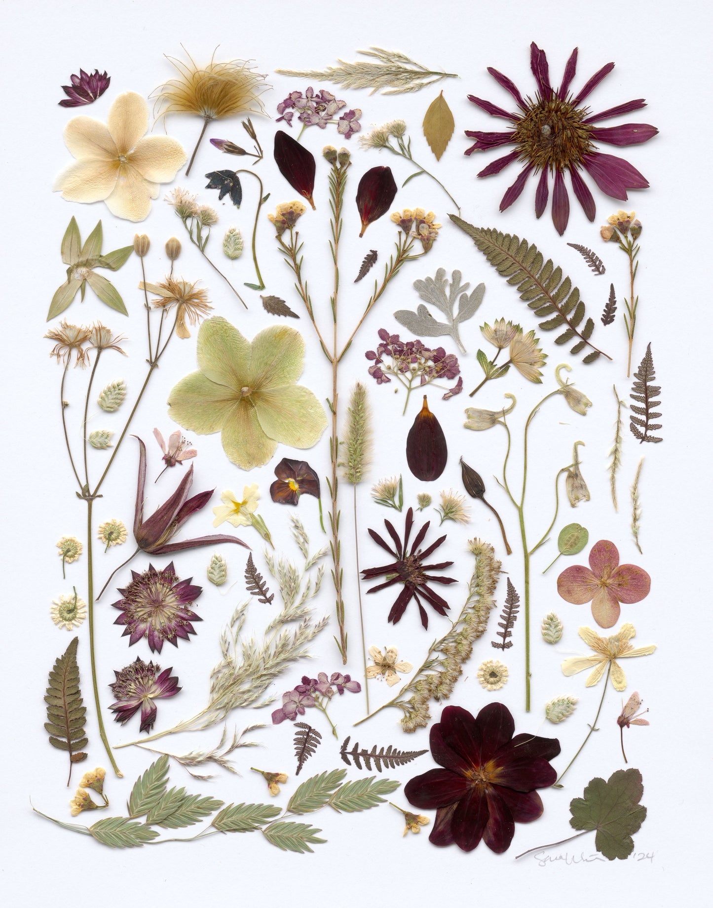 Fine Art Prints - Winter