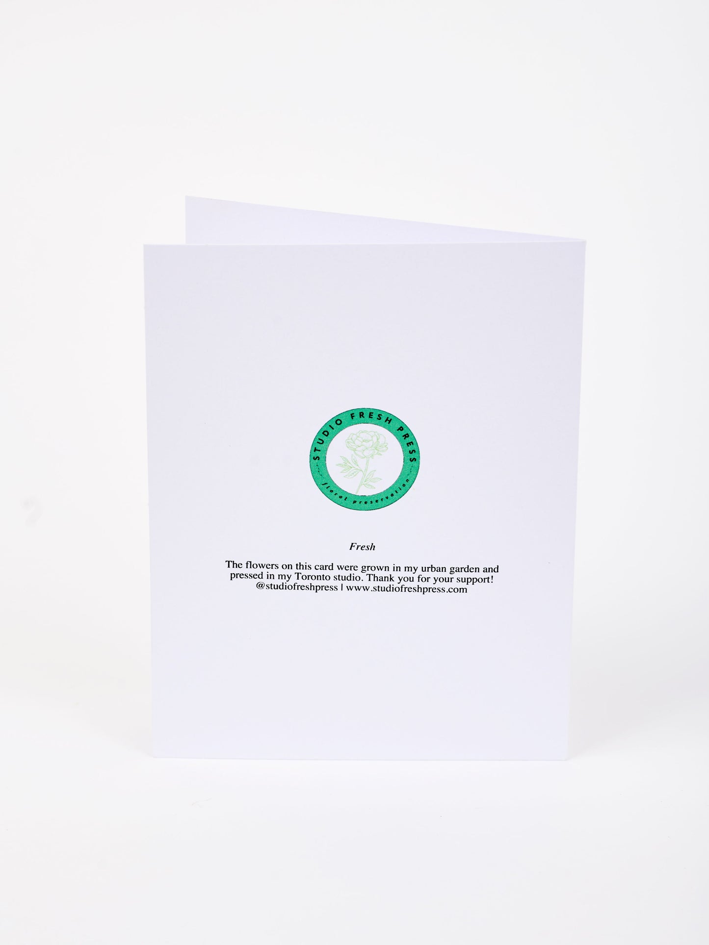 Note Cards - Box of 8
