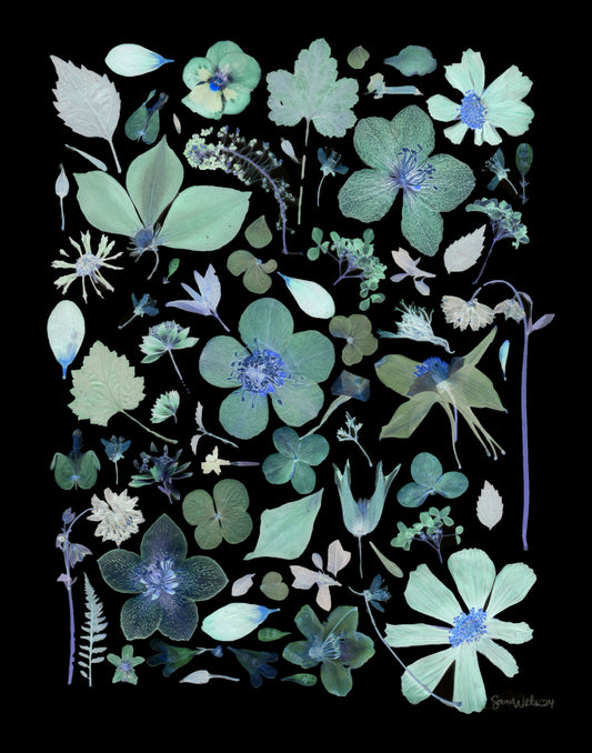 Fine Art Print - Blue Haze