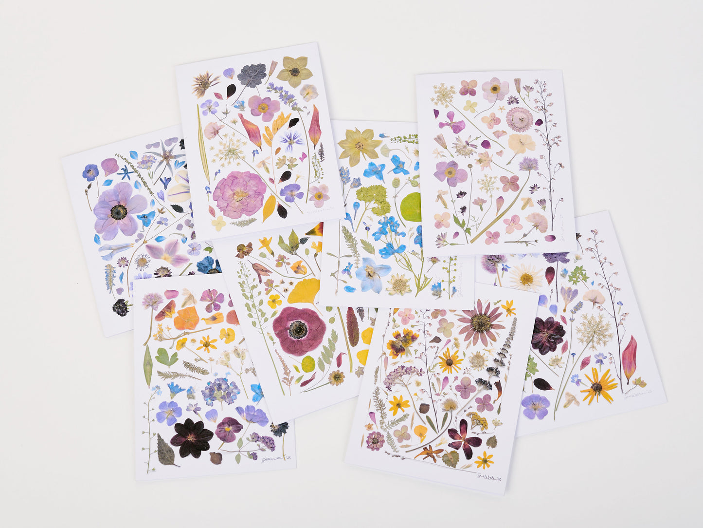 Note Cards - Box of 8