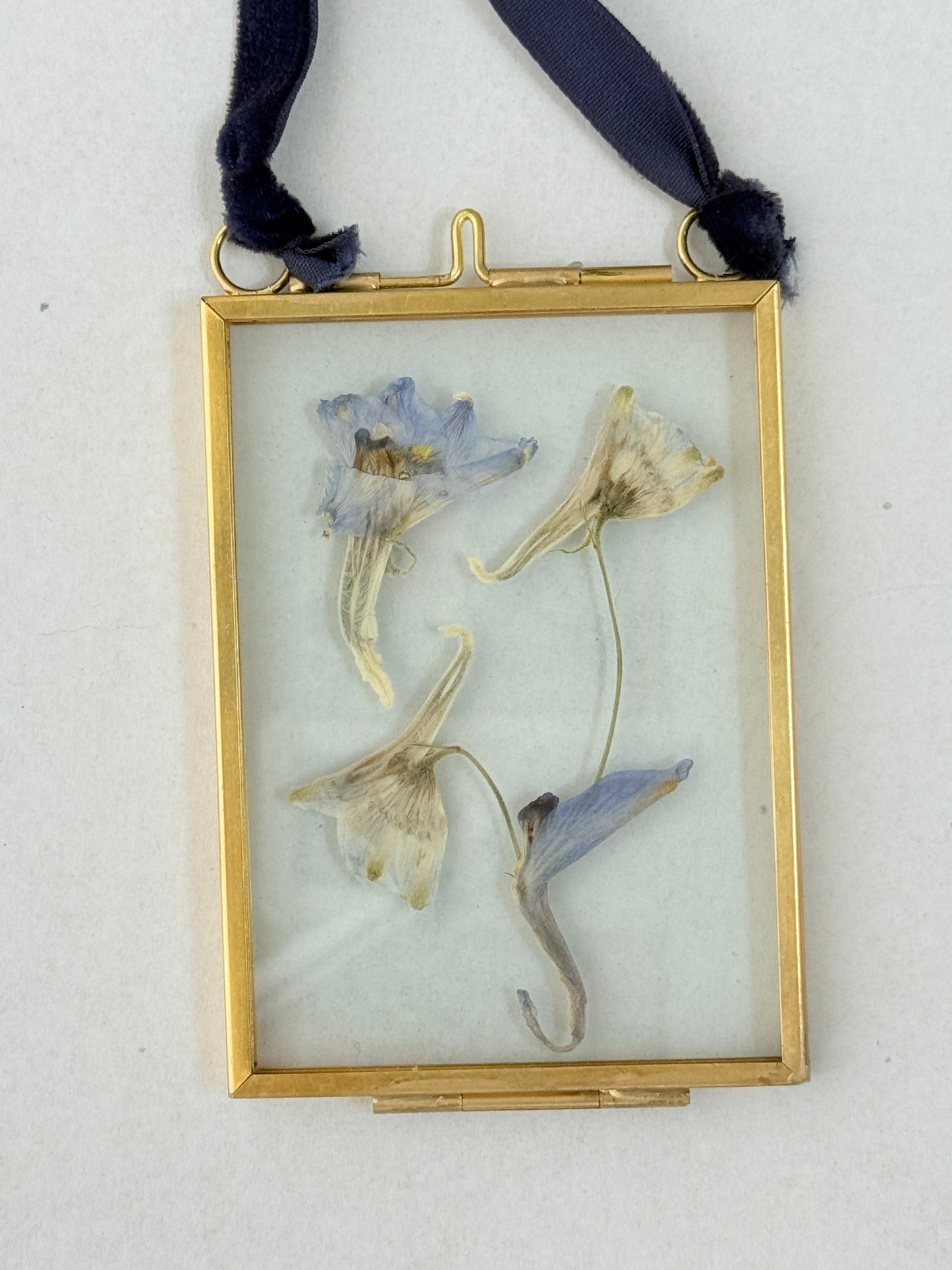 Pressed Floral Ornament -Delphinium