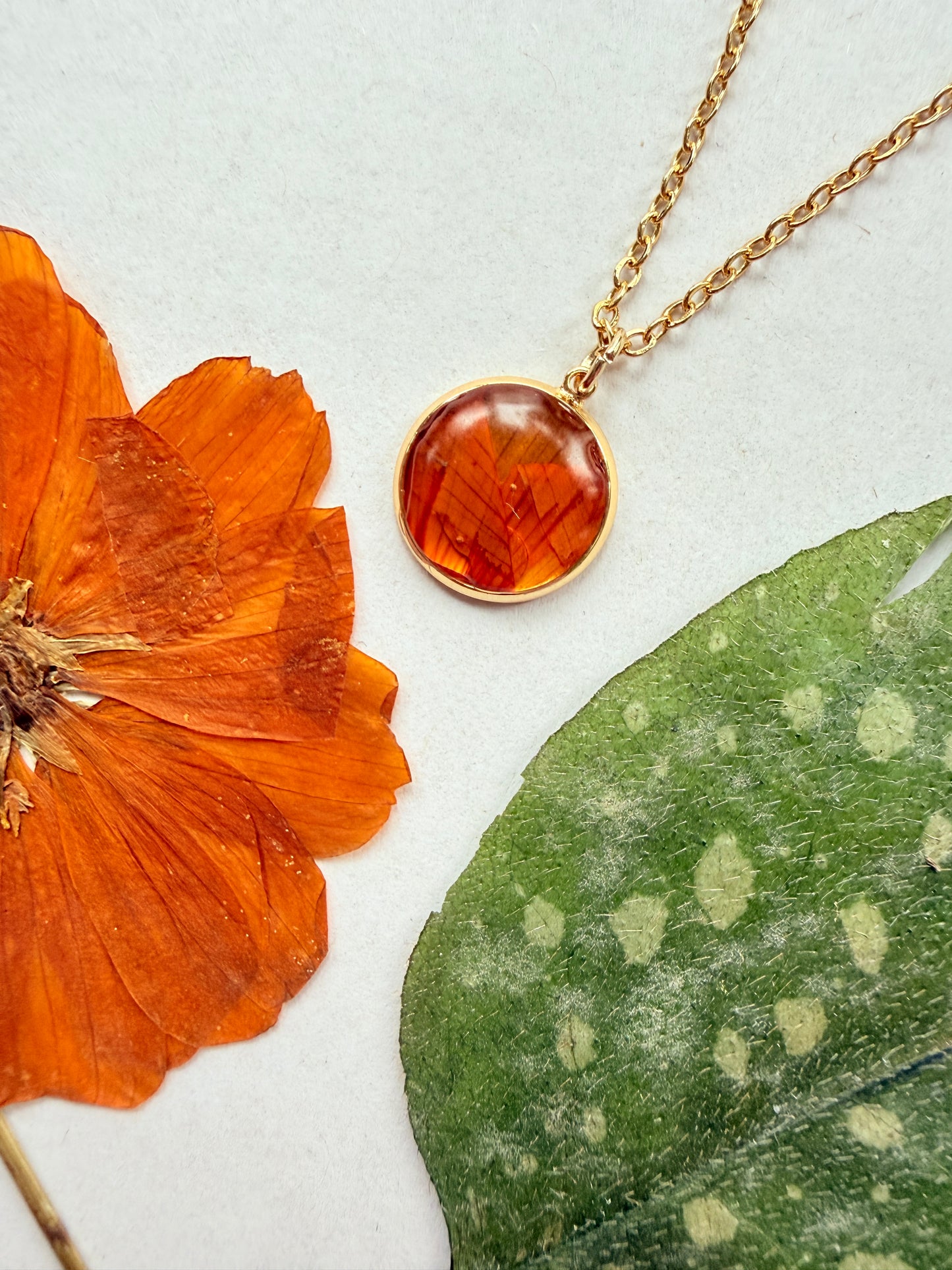 Pressed Floral Necklace, Orange Cosmo and 18K Gold Plated Chain