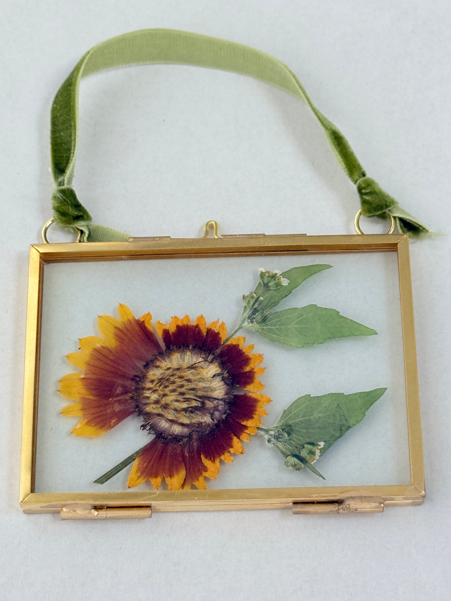 Pressed Floral Ornament - Rudbeckia