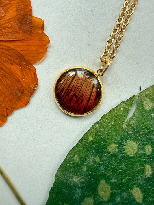 Pressed Floral Necklace, Orange Cosmo and 18K Gold Plated Chain