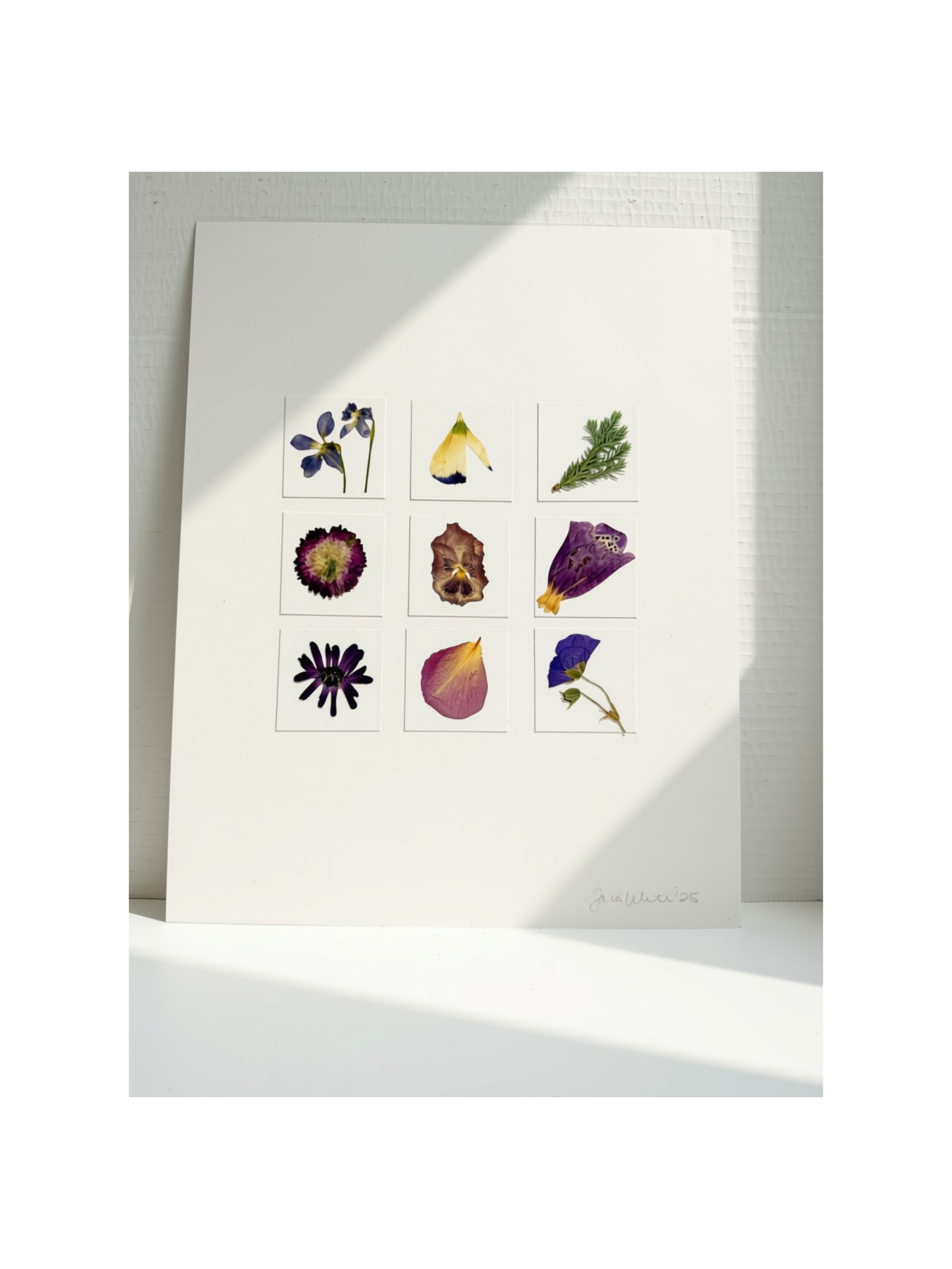 Hand-Pressed Botanical Wall Art