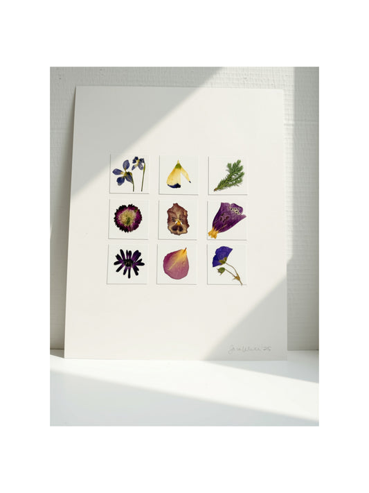 Hand-Pressed Botanical Wall Art