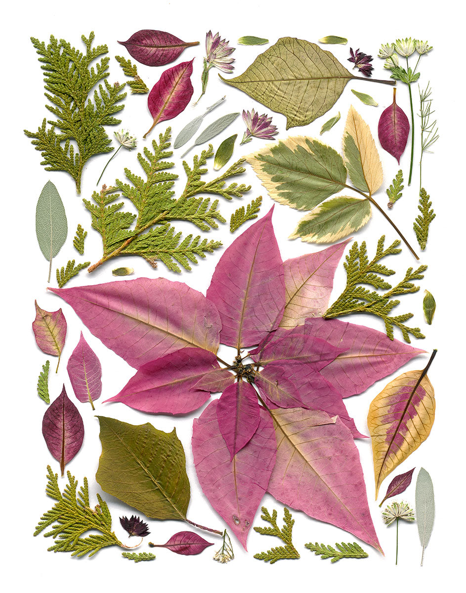 Fine Art Print - Christmas