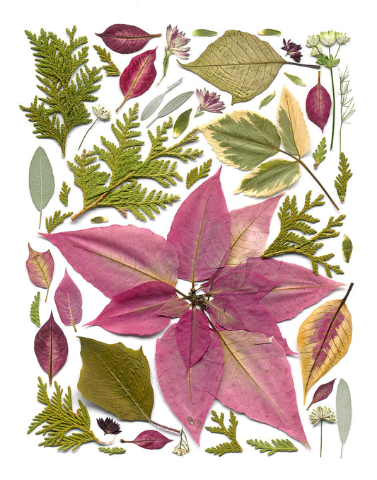 Fine Art Print - Christmas