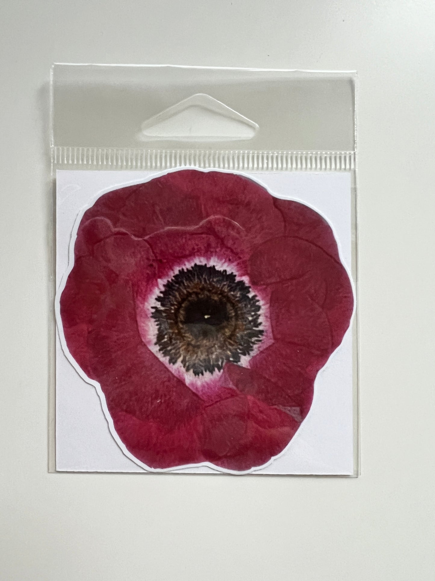 3” stickers, Anemone