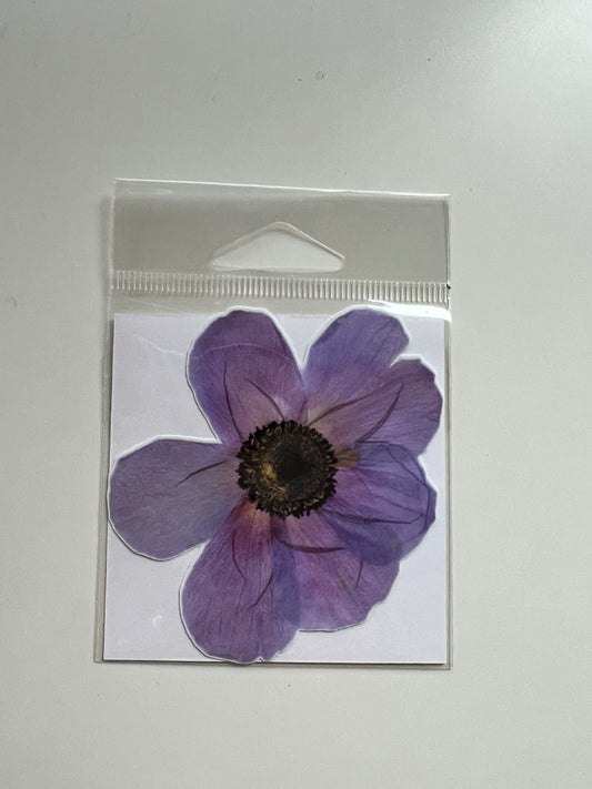 3” stickers, Anemone Blue