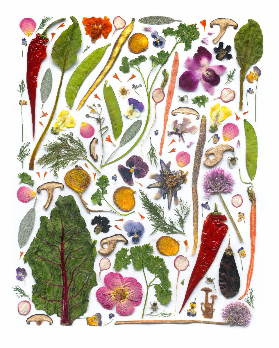 Tea Towel - Kitchen Garden
