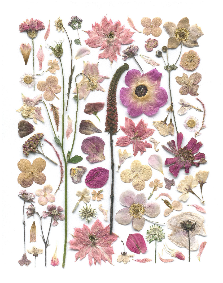 Tea Towel - Pretty In Pink