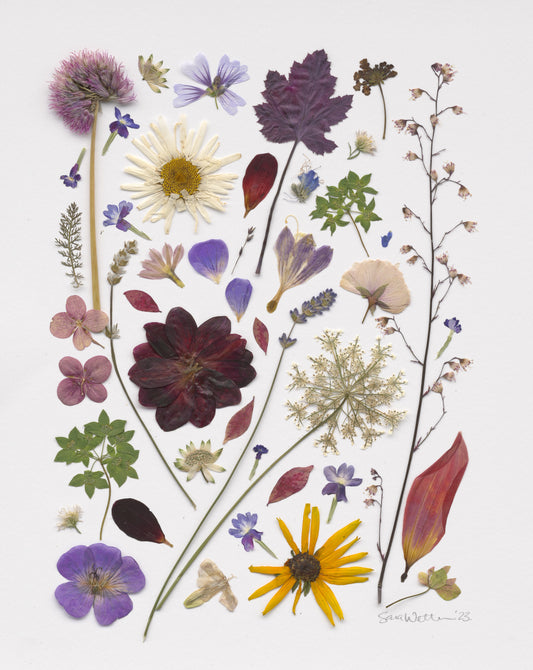 Fine Art print - Summer