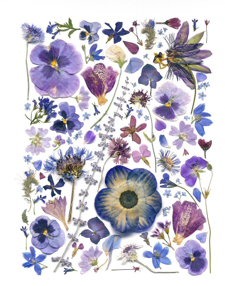 Tea Towel - Violet